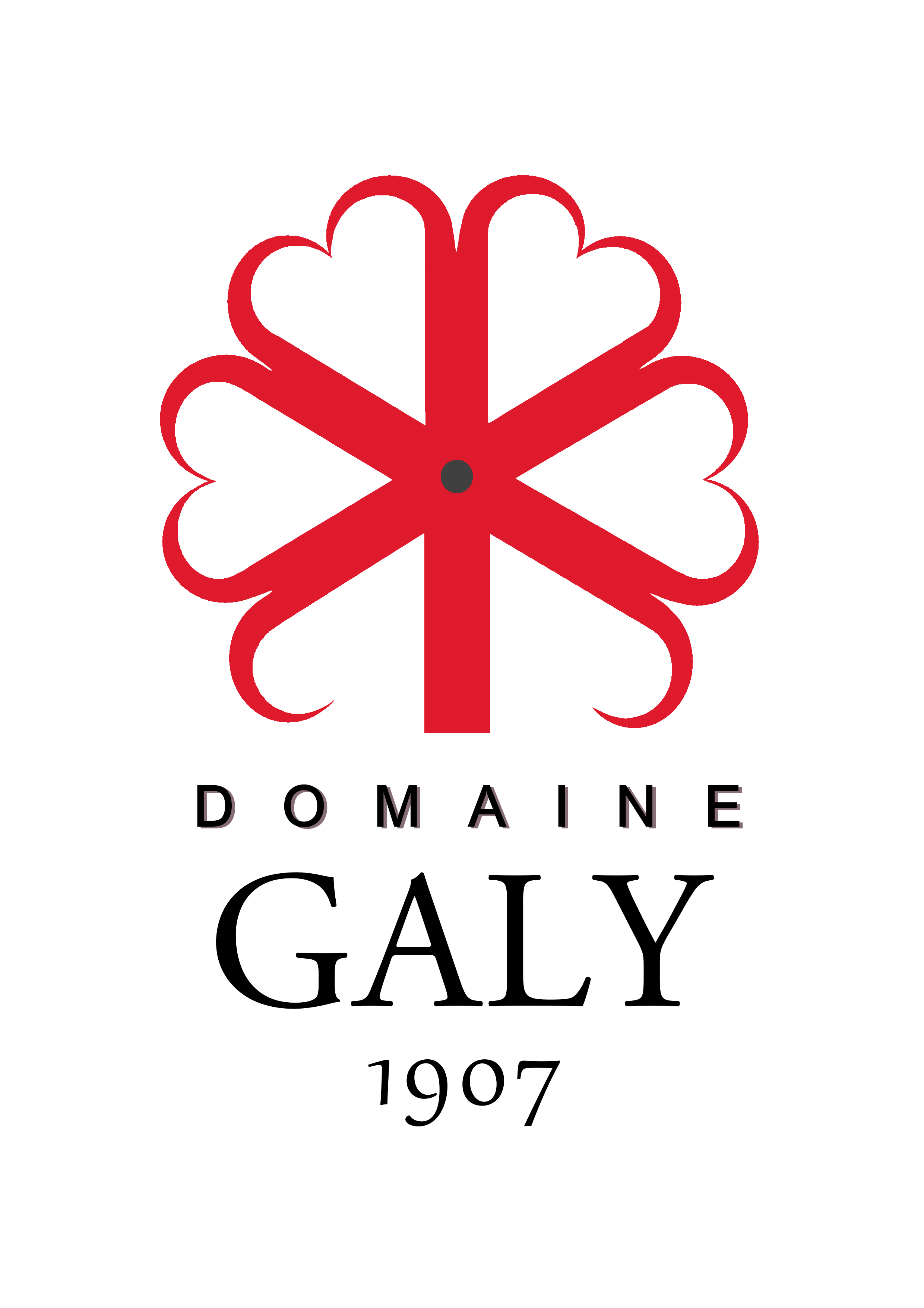 Domaine Galy